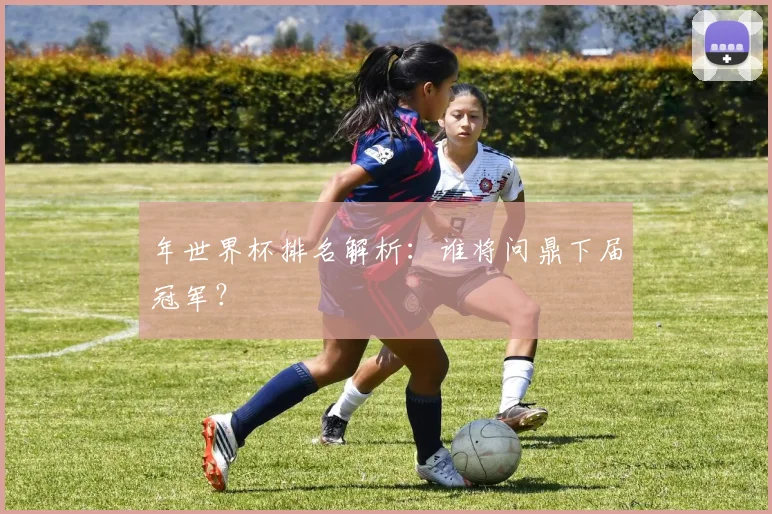 年世界杯排名解析：谁将问鼎下届冠军？