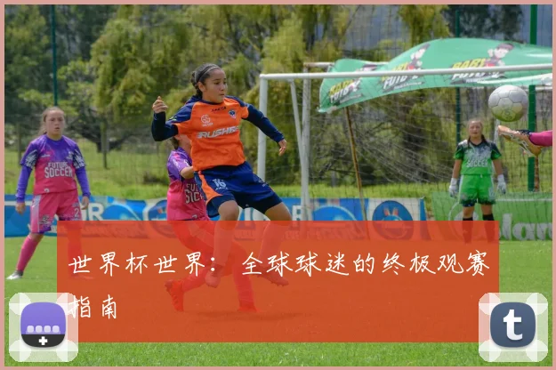 世界杯世界：全球球迷的终极观赛指南